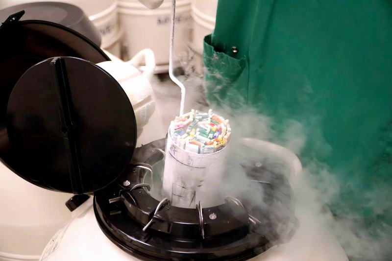 Khí nito cấp đông